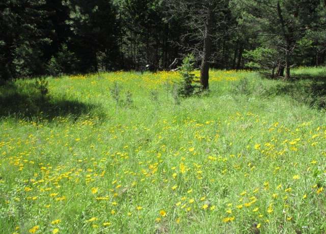 Property at 846 Upper Andy Creek Ln, Cascade, MT 59421