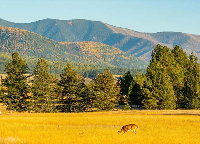 Property at 739 Paradise Loop, Eureka, MT 59917