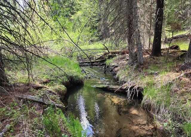 Property at 141 Berts Way, Yaak, MT 59935