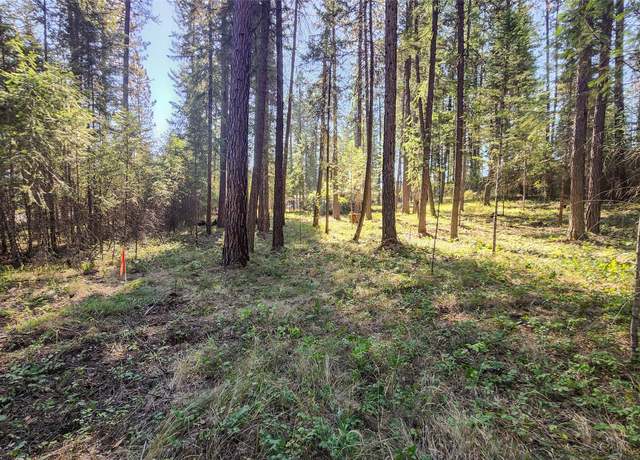 Property at 1505 Kootenai River Rd, Libby, MT 59923