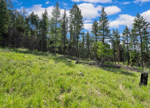 Property at 437 Buffalo Trl, Somers, MT 59932
