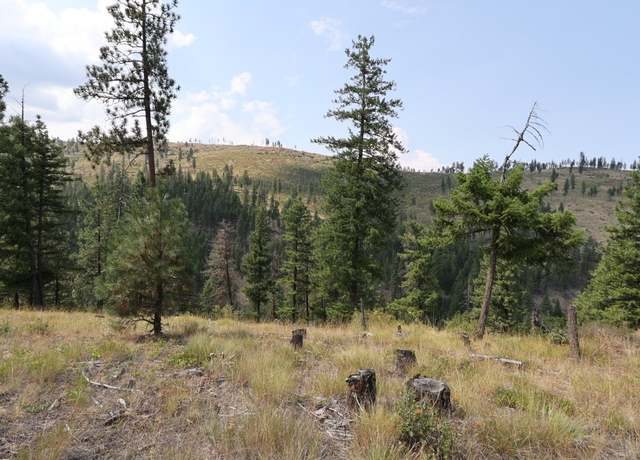 Property at NHN Tract 1C E Fork Combest Creek Rd, Plains, MT 59859