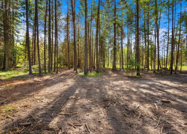 Property at 1365 Mt Highway 209, Bigfork, MT 59911