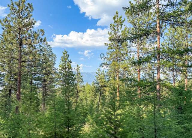 Property at 148 Tiny Acres Trl, Rexford, MT 59930