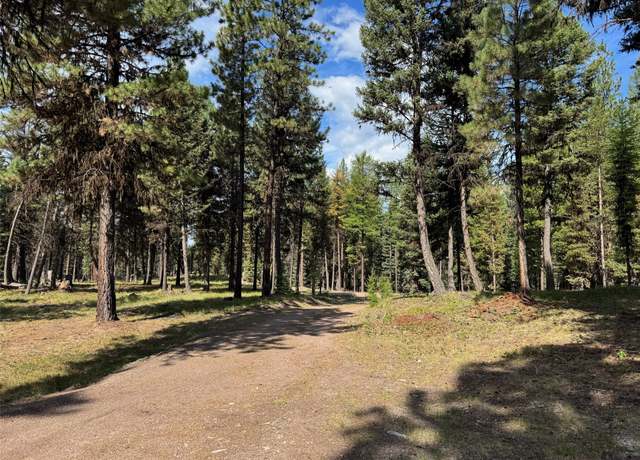 Property at 231 Buckskin Dr, Seeley Lake, MT 59868