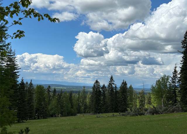Property at NHN Black Wolf Trl, Bigfork, MT 59911
