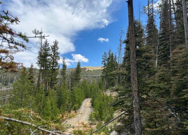 Property at 269 Boulder Chief Rd, Basin, MT 59631