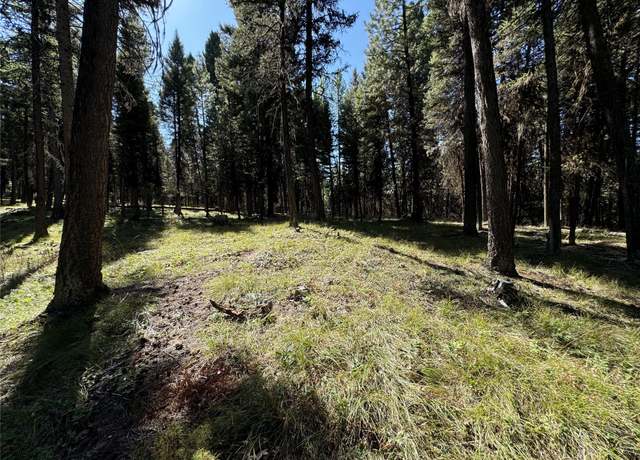 Property at 643 & 589 Stagecoach Dr, Seeley Lake, MT 59868