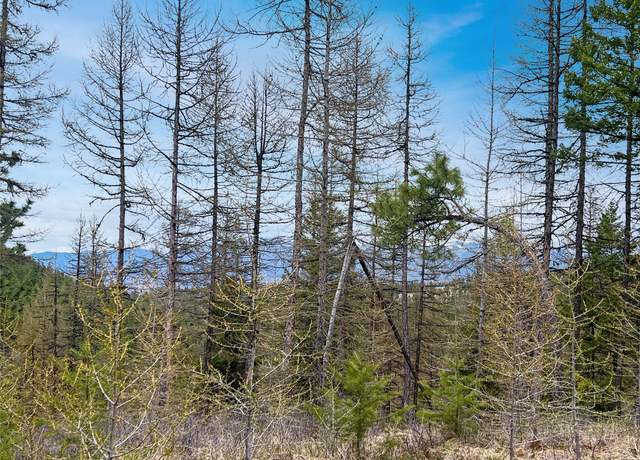 Property at 460 Buffalo Ln, Somers, MT 59932
