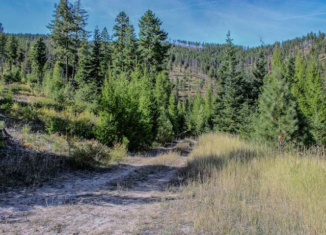 Property at NHN W Fork Combest Creek Rd, Plains, MT 59859