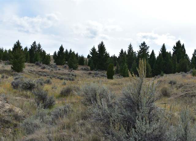 Property at tbd Indian Paint Brush Rd, Butte, MT 59701