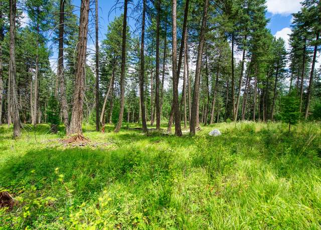 Property at 161 Rosewood, Whitefish, MT 59937