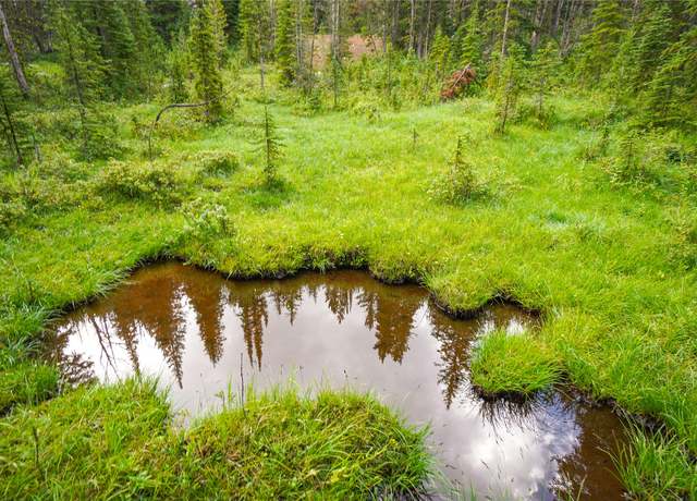 Property at NHN Jack Crk, Basin, MT 59631