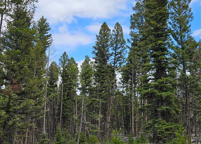 Property at 000 Bear Gulch Rd, Lincoln, MT 59639