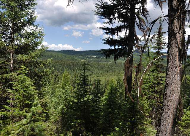 Property at 3630 Logan Creek Rd, Whitefish, MT 59937