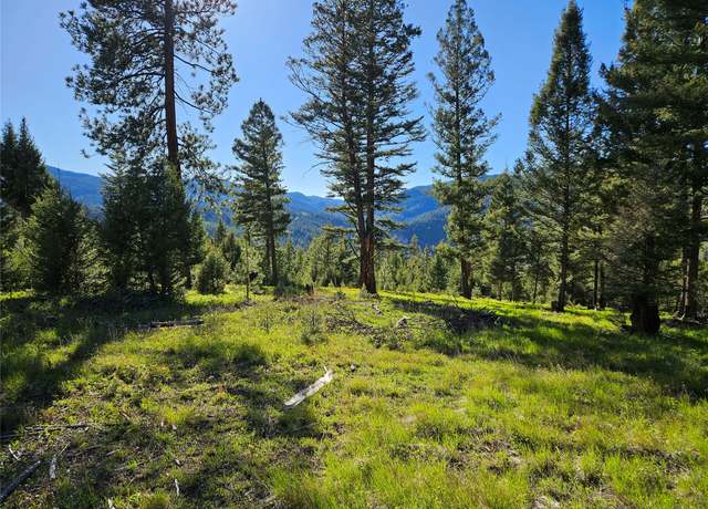 Property at 202 Packer Gulch Rd, Drummond, MT 59832, 1 bed