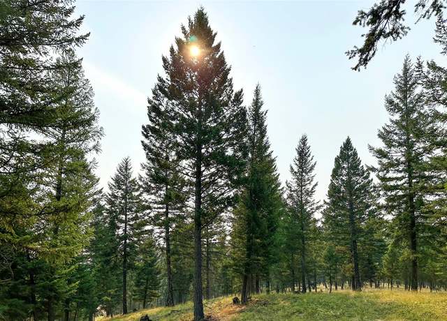 Property at 30.25 Acres Fortine Creek Rd, Trego, MT 59934