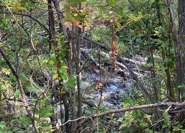 Property at Nhn Arlie Tracts - Lot 30, Babb, MT 59411