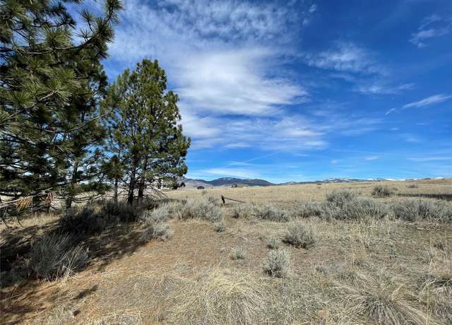 Property at 836 Sandhill Loop, Florence, MT 59833