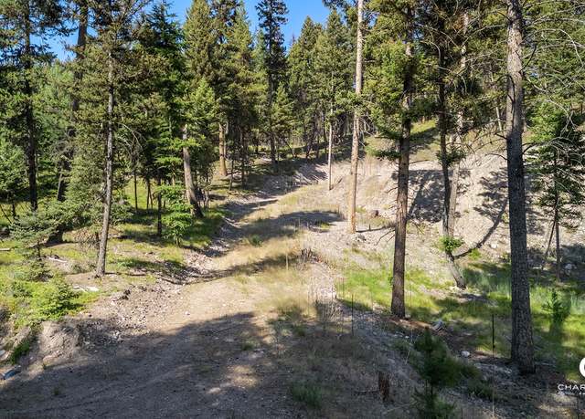 Property at 170 Leota Peak Ct, Seeley Lake, MT 59868