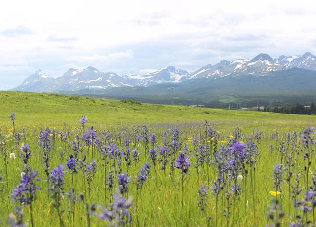 Property at 21001 Us Highway 2, East Glacier Park, MT 59434