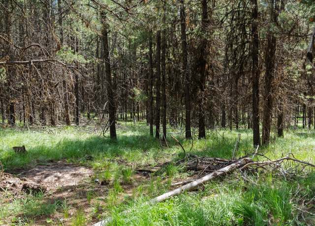 Property at 182 New Timber Ridge Trl, Marion, MT 59925