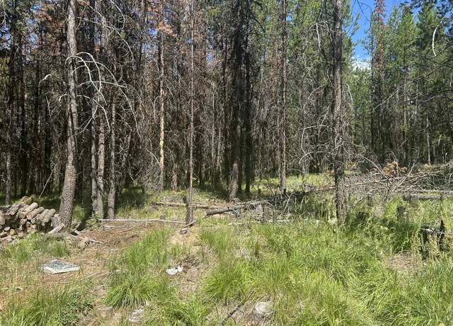 Property at 314 New Timber Ridge Trl, Marion, MT 59925
