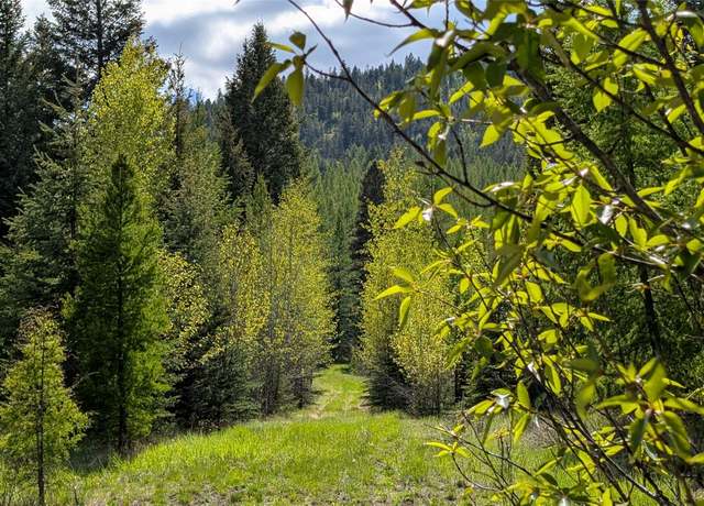 Property at 161 Bernard Creek Rd, Kila, MT 59920