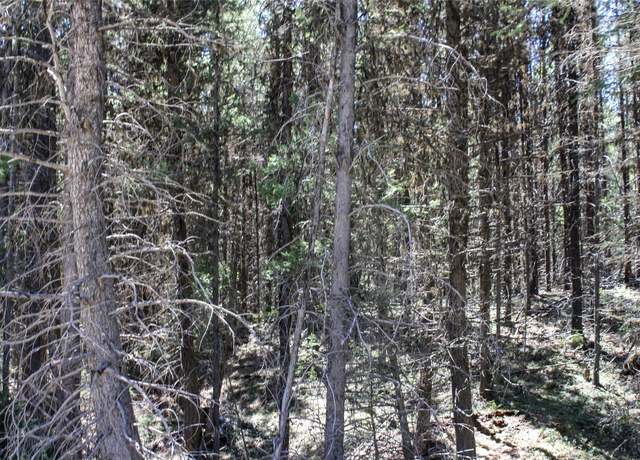 Property at 2215 Pleasant Valley Rd, Marion, MT 59925