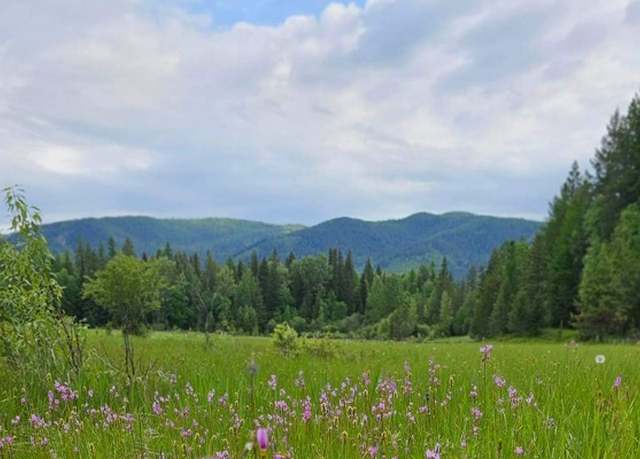 Property at 214 Aspen Ln, Columbia Falls, MT 59912