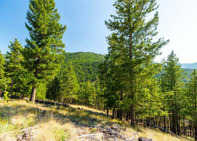 Property at 123 Seeley Ln, Kila, MT 59920