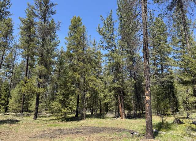 Property at Nhn Franko Ln, Trout Creek, MT 59874