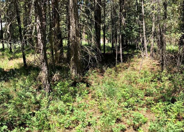 Property at Nhn Syringa Ln, Libby, MT 59923