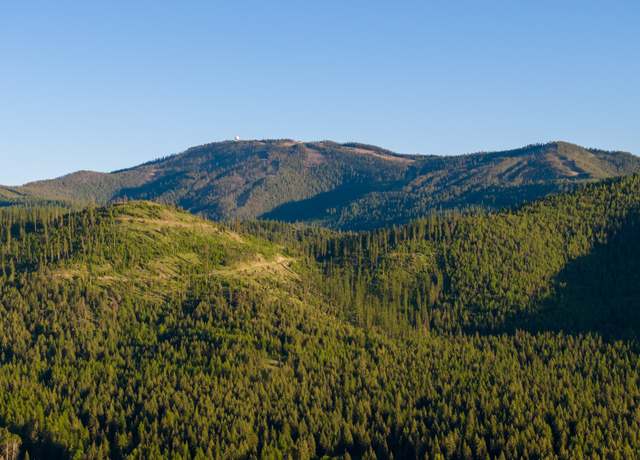 Property at Coon Hollow Retreat, Kila, MT 59920