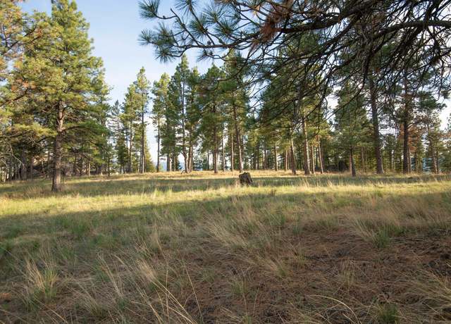 Property at TBD Leaning Tree Ln, Clancy, MT 59634