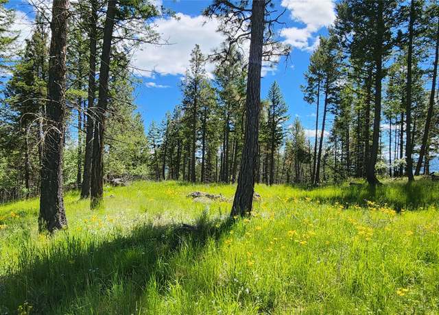 Property at 463 Hogue Dr, Bigfork, MT 59911