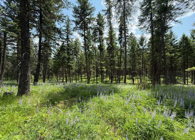 Property at NHN Kootenai Dr, Troy, MT 59935