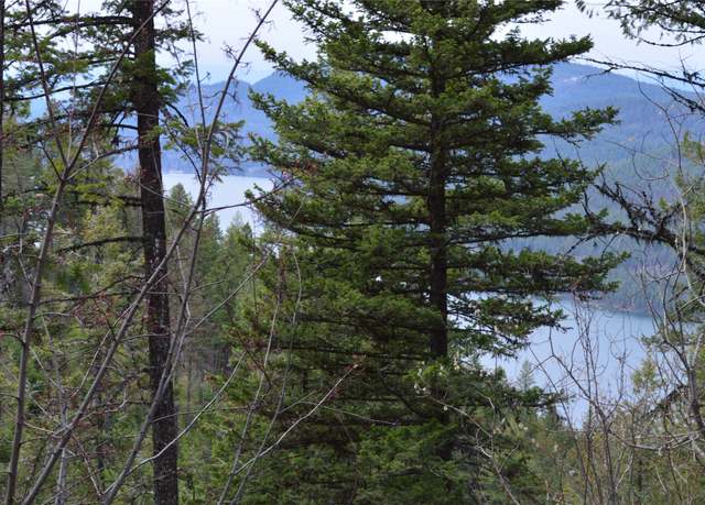 Property at NHN E Lakeshore Dr Unit Parcel 1 and 2, Whitefish, MT 59937