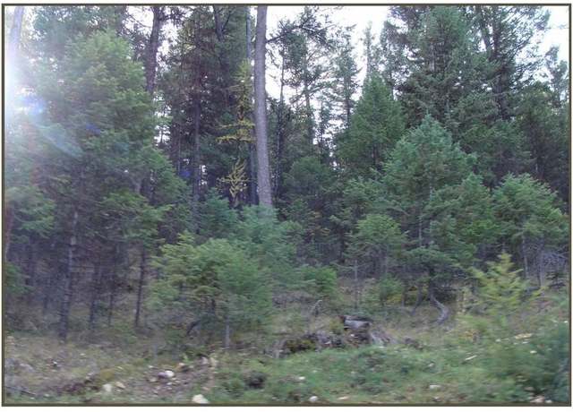Property at Lot 7 Whispering Pines Subdivision, Fortine, MT 59918