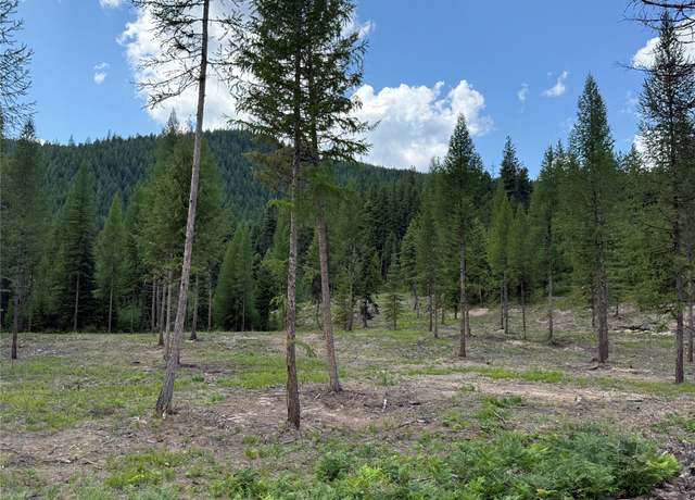 Property at TBD Lot 10 north Schreiber Lake Subdivision, Libby, MT 59923