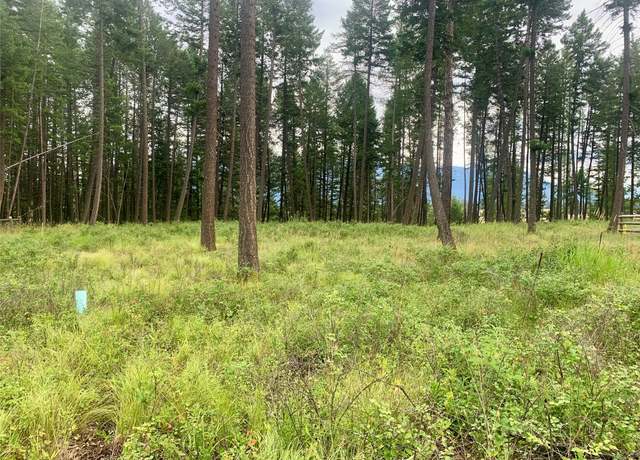 Property at 1097 Timber Ridge Ct, Columbia Falls, MT 59912