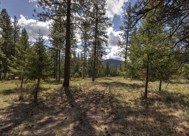 Property at NHN Mountain Vista Ln, Alberton, MT 59820