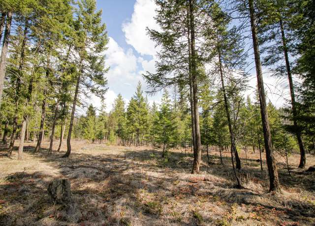 Property at Nhn Jennings Haul Rd, Libby, MT 59923