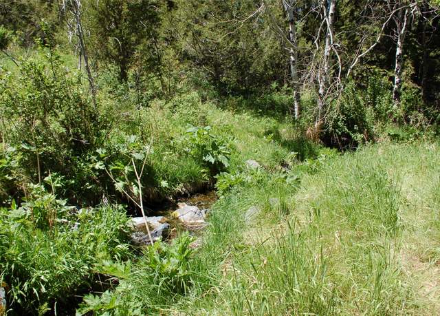 Property at Multiple Blocks, Virginia City, MT 59755