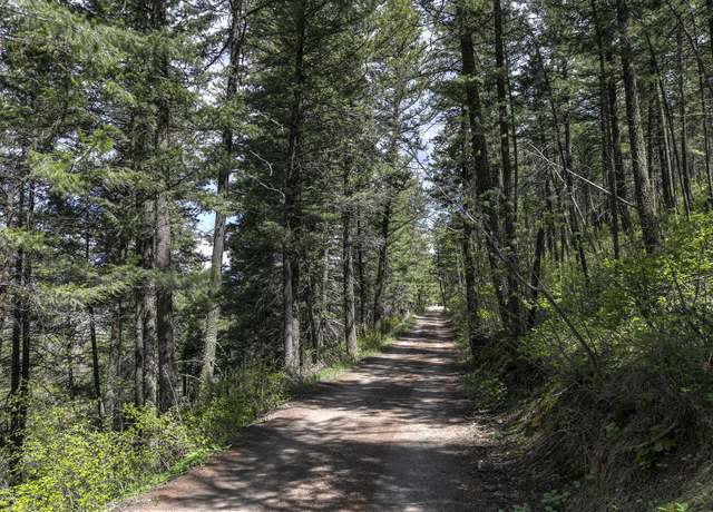 Property at 13275 Balsamroot Rd, Lolo, MT 59847