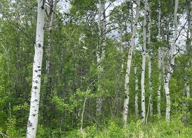 Property at 105 Heart Butte Cutoff, East Glacier Park, MT 59434