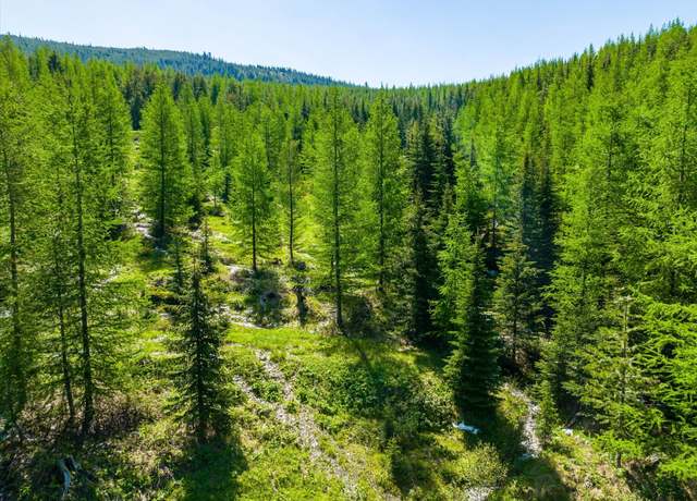 Property at Nhn Griffin Creek Rd, Marion, MT 59925