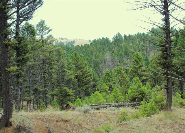 Property at NHN Boulder Chief Rd, Basin, MT 59631