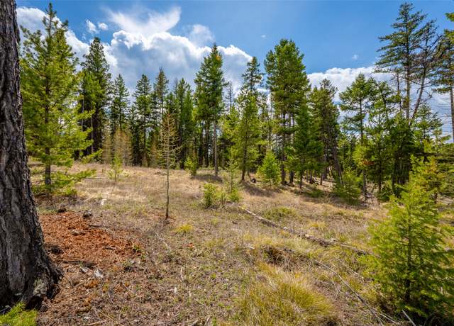 Property at 120 Marion Pines Dr, Marion, MT 59925