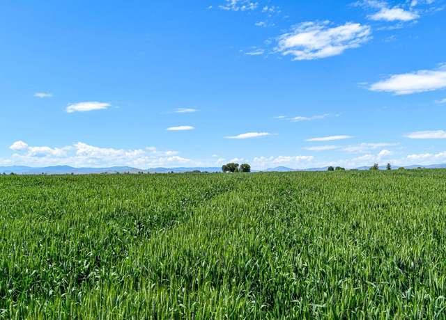 Property at 38271 Mink Ln, Ronan, MT 59864
